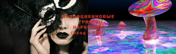 винт Дмитриев