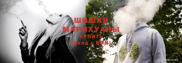 винт Дмитриев