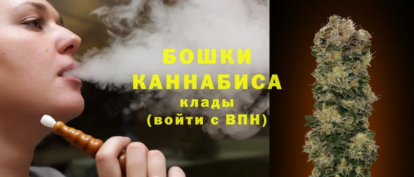 винт Дмитриев