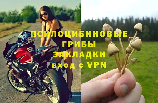 2c-b Дмитров