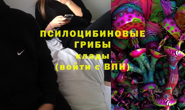 винт Дмитриев
