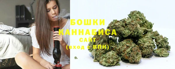 винт Дмитриев