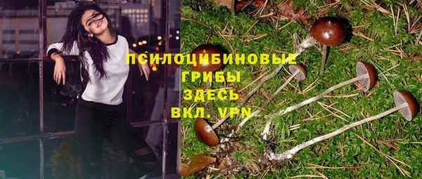 винт Дмитриев